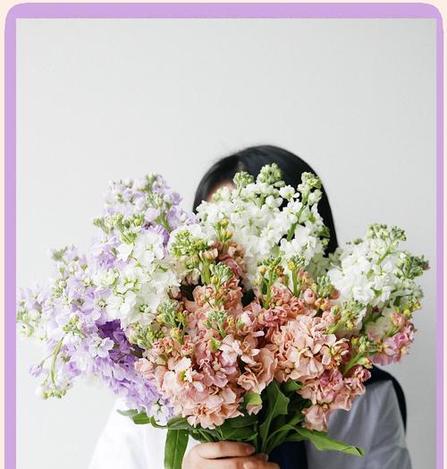 紫罗兰作为姐妹礼物的花语含义？