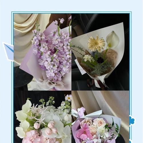 紫罗兰作为姐妹礼物的花语含义？