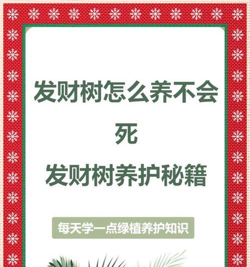 发财树种子种植的正确步骤是什么？