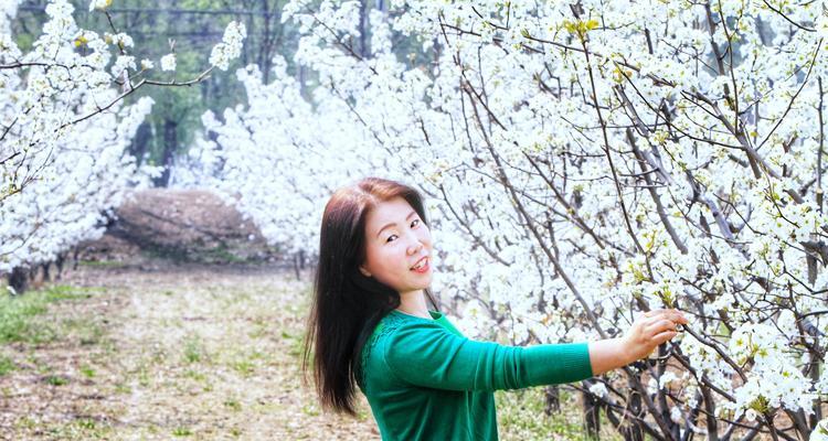 梨花语吉祥物的含义是什么？