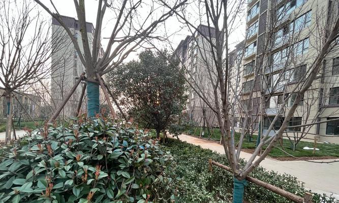 花语拾光北边楼盘信息？如何联系销售？