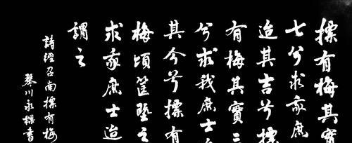 虎士梅的花语有何含义？虎士梅象征着什么？
