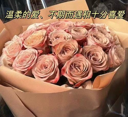 情人节聊天时，花语如何表达爱意？