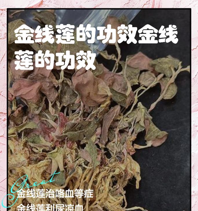 金钱莲的养殖技巧有哪些？如何处理金钱莲的生长问题？