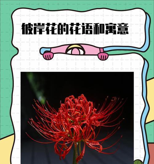 花语水岸什么学位？它有何特殊含义？