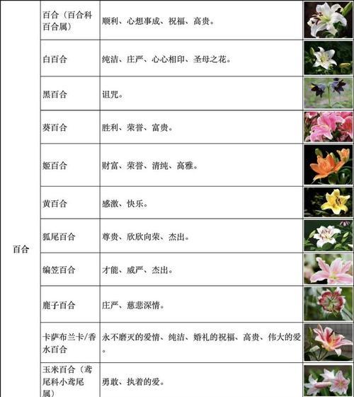 花语水岸什么学位？它有何特殊含义？