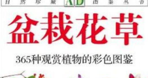 盆栽花草的养护秘诀是什么？如何让盆栽花草茁壮成长？