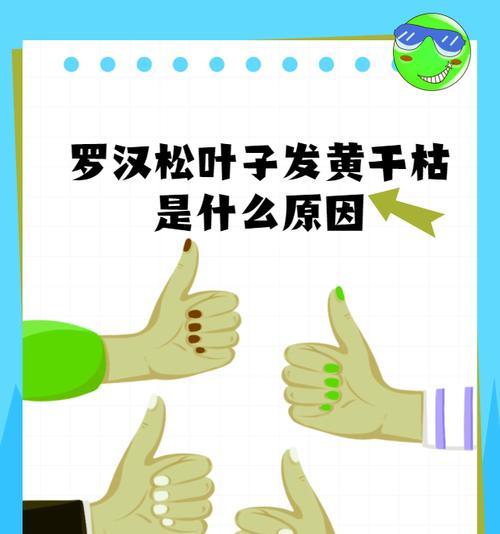 植物叶子发黄的常见原因及解决办法？