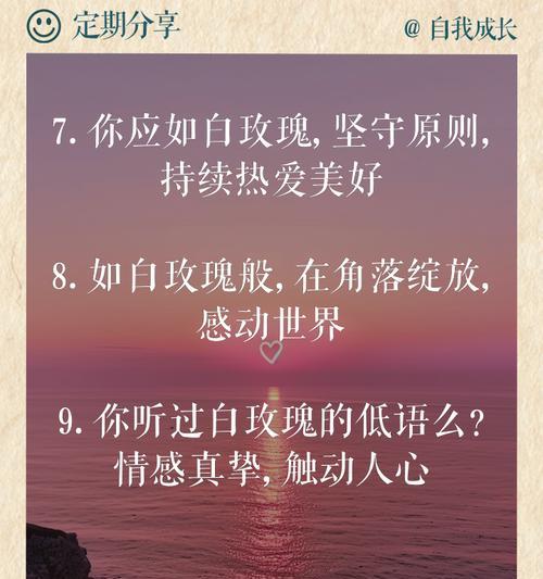 白玫瑰落下时的花语有何深意？