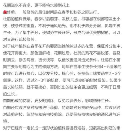杜鹃花扦插的最佳时间是什么时候？操作步骤是怎样的？