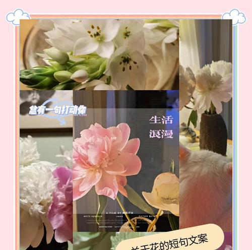 山河浪漫的花语是什么花？这种花语有何独特之处？