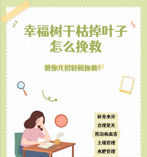 绿霸王叶子枯萎了怎么救？需要采取哪些措施？