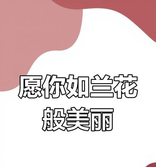 蝴蝶兰的花语有哪些经典名句？代表了什么？