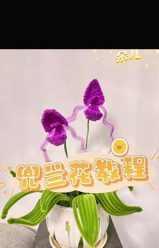 纯手工花的花语是什么呢？手工花的寓意有何不同？
