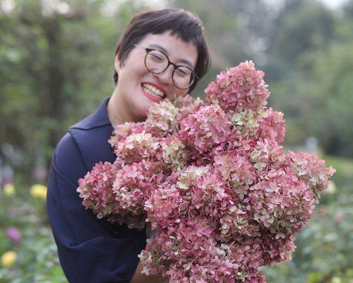 圆锥绣球的花语是什么？圆锥绣球代表什么含义？