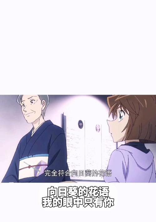 在你眼里看到的花语代表什么？