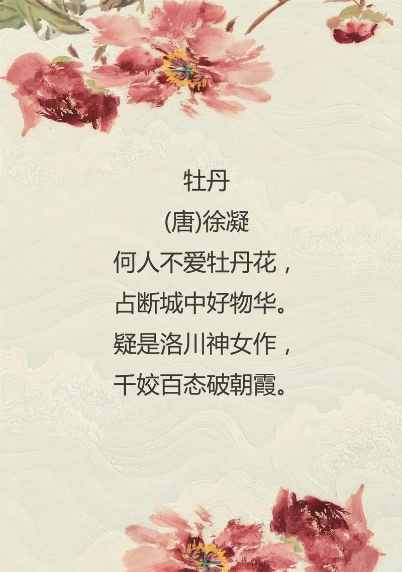 牡丹花象征什么？如何在作文中表达其寓意？
