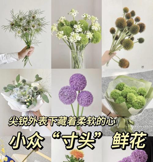 橘子星球的花语有何特别之处？橘子星球花语的寓意是什么？