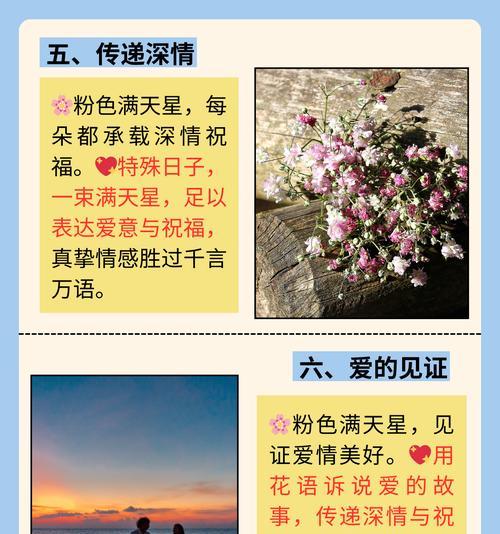 告白花语代表什么意思？这种花语如何表达爱意？