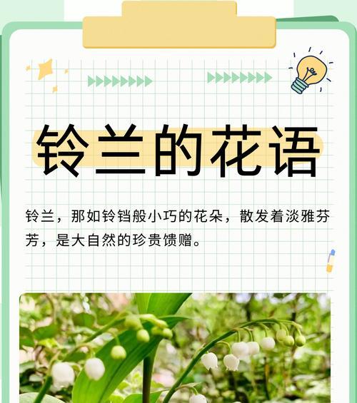 花语为何能赋予花朵美丽？
