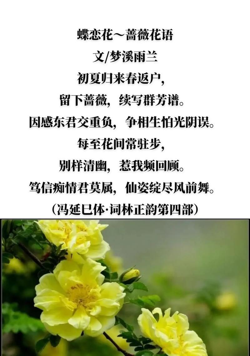 花语为何能赋予花朵美丽？