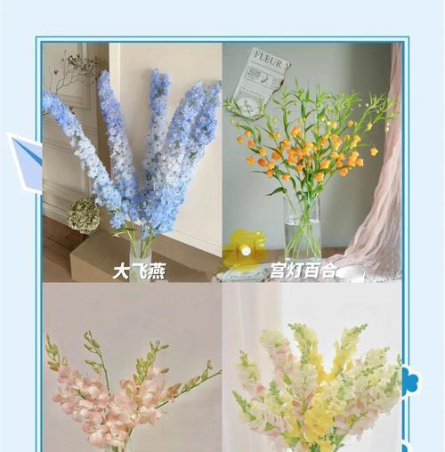 水养花卉有哪些种类？如何进行水养？