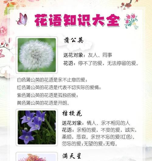 生活中常见花卉颜色及其花语是什么？