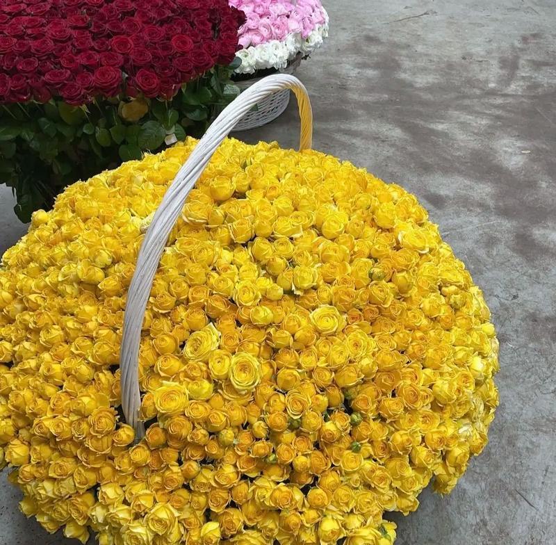 喜贵花束代表了什么？它的花语有何深意？