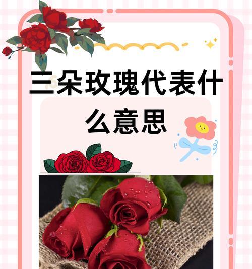 梦幻多头玫瑰花语是什么意思？它代表什么？