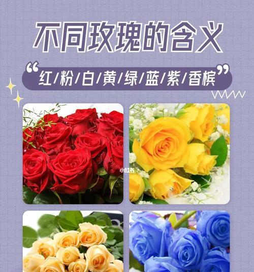 梦幻多头玫瑰花语是什么意思？它代表什么？