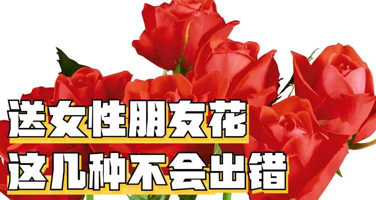 花语爱人尽皆知什么意思？花语中的爱情表达有哪些？