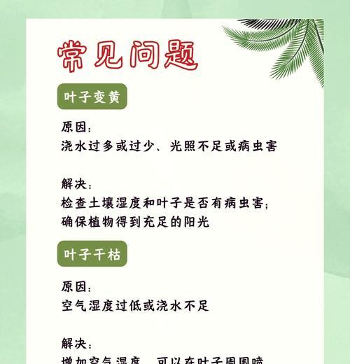 竹节海棠不开花是什么原因？如何解决不开花问题？