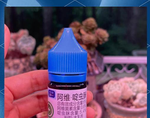 多肉植物病虫害如何防治？哪种药最有效？