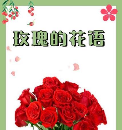 泡茶用的玫瑰花语和寓意是什么？它有何特别之处？