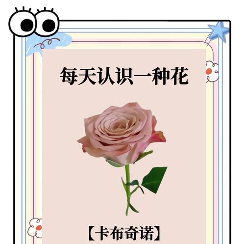 怪怪的玫瑰是什么花语啊？这种花语表达了怎样的个性？