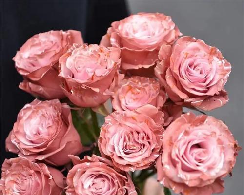 蜜桃玫瑰搭配花语是什么？蜜桃玫瑰与其他花搭配的寓意是什么？
