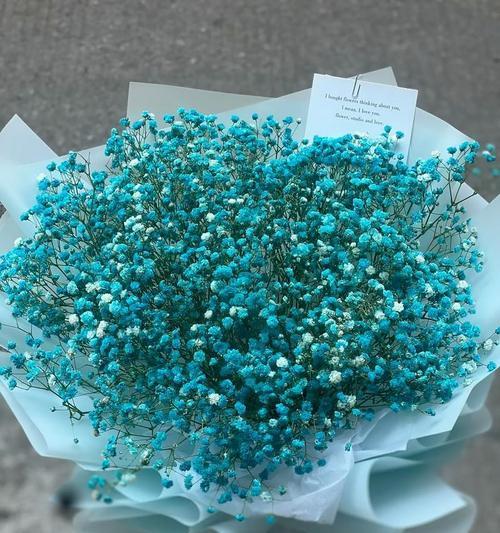 哪些花语代表温柔？它们通常在什么场合使用？