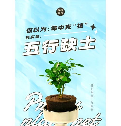 浇花的最佳时间是什么时候？