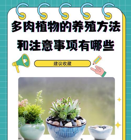 厚脸皮植物的养殖方法有哪些？如何避免养殖问题？