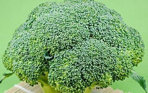 碧兰花的花语有何特别含义？