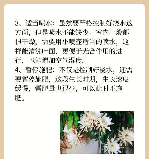 昙花养殖过程中需要注意什么？