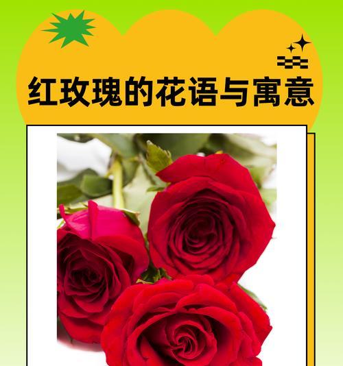 纪念故人花语是什么呢？如何选择合适的花朵来纪念逝去的亲人？