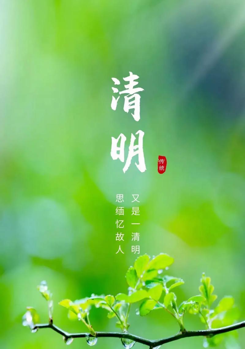 纪念故人花语是什么呢？如何选择合适的花朵来纪念逝去的亲人？