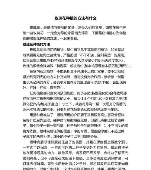 四季玫瑰花的养殖方法是什么？如何保持四季玫瑰花的健康生长？