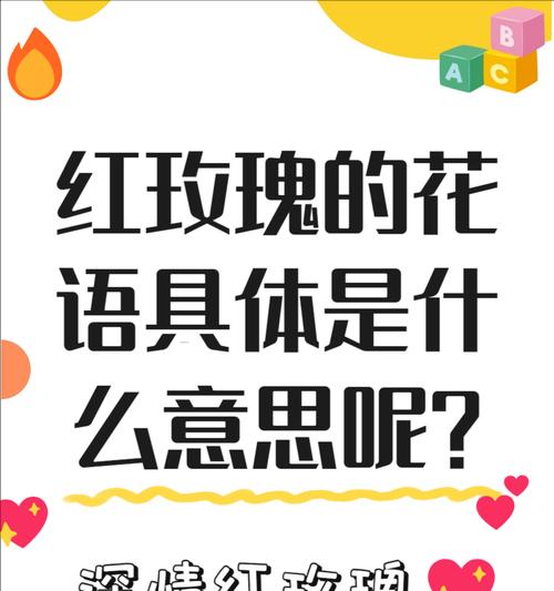 玫瑰花的终生花语有何意义？