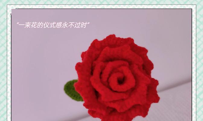红玫瑰花的花语种子是什么？如何正确解读？