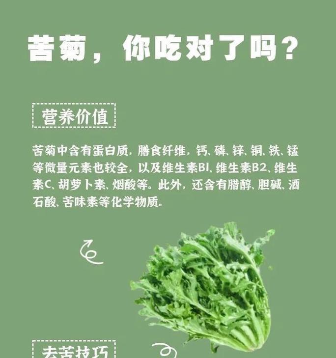 苦菊的花语有哪些含义？它通常象征着什么？