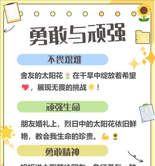 默默守护的爱用什么花语表达？哪种花代表这种情感？