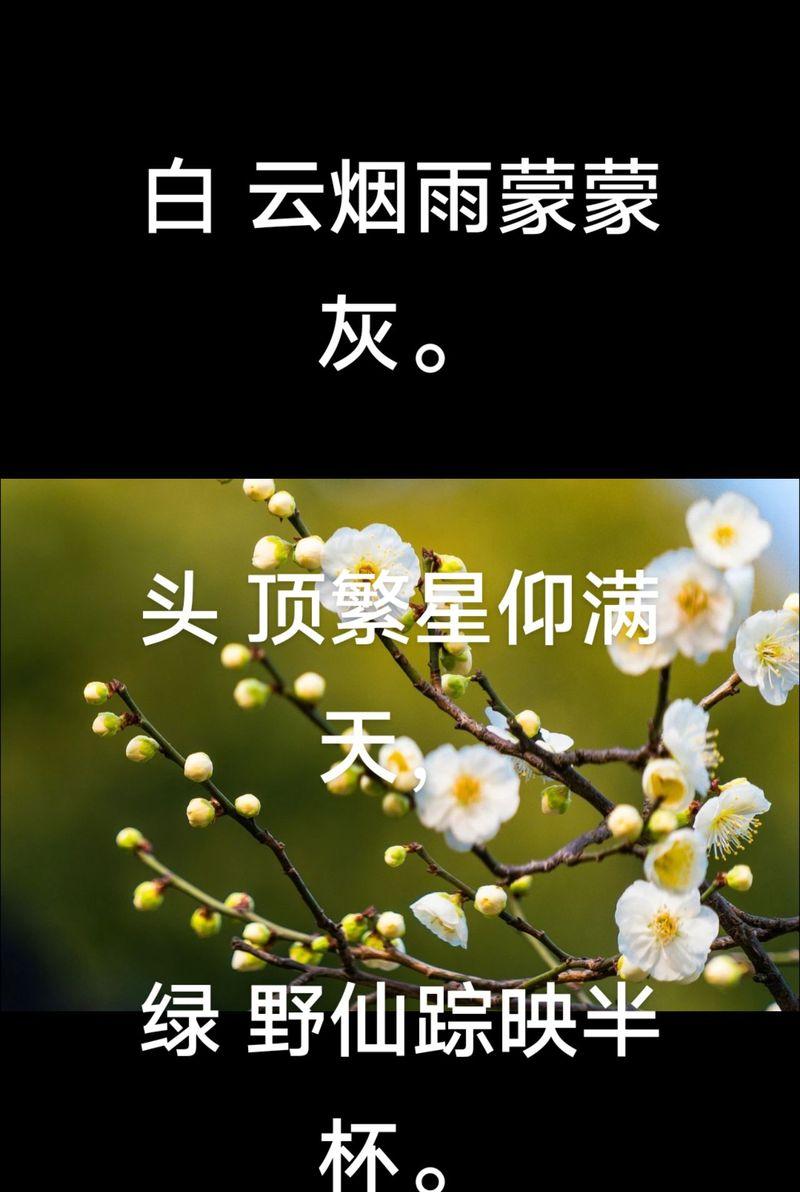 乌羽玉梅花树苗的花语有何寓意？如何表达坚强？