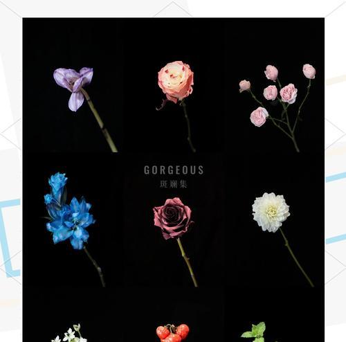 哪些小众花的花语特别动听？小众花语如何表达情感？